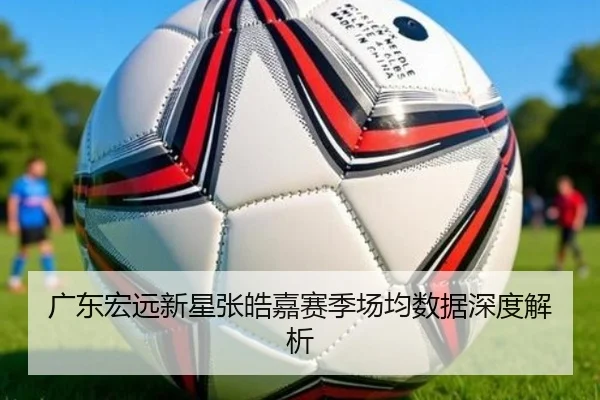 广东宏远新星张皓嘉赛季场均数据深度解析